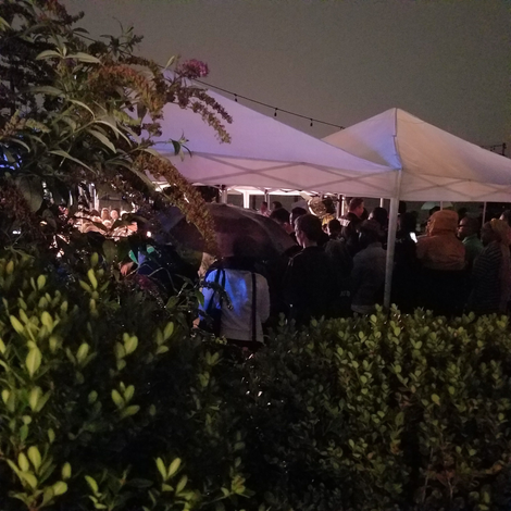 The view from the bushes (Danielle Belton/The Root)